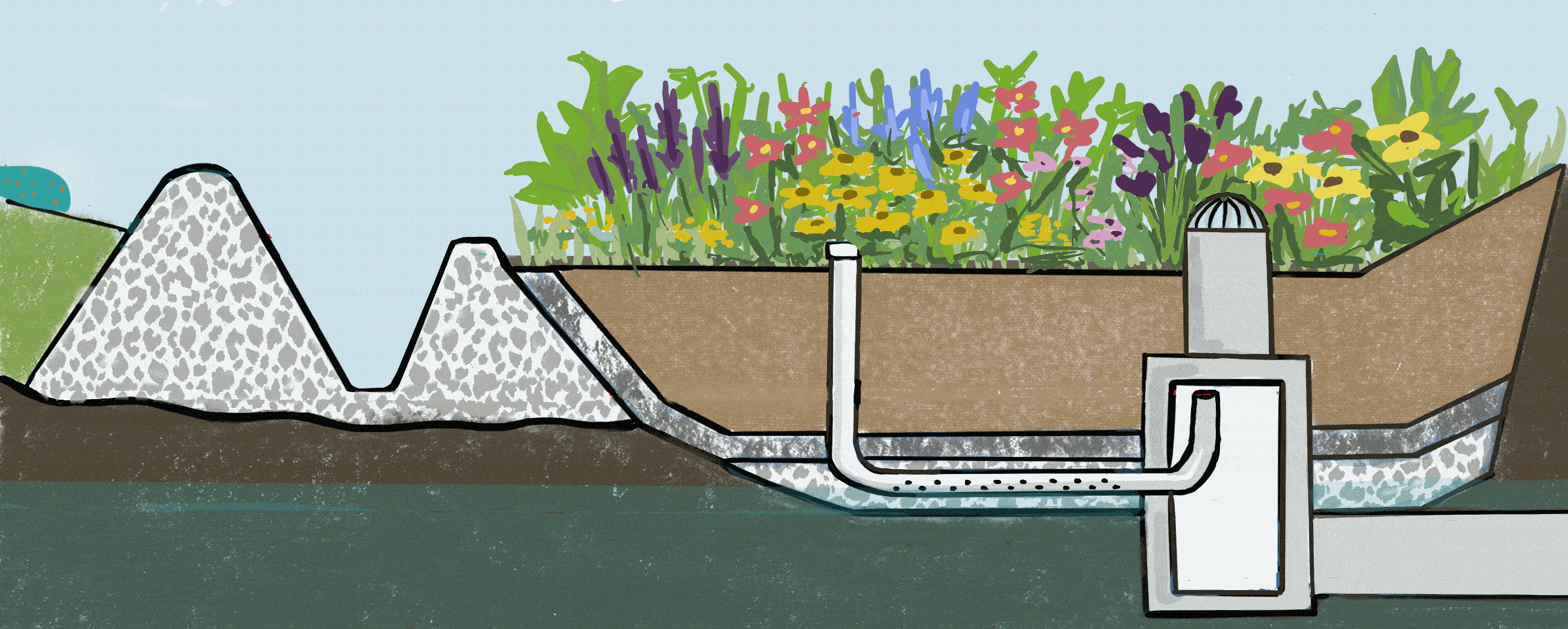 Bioretention Animation